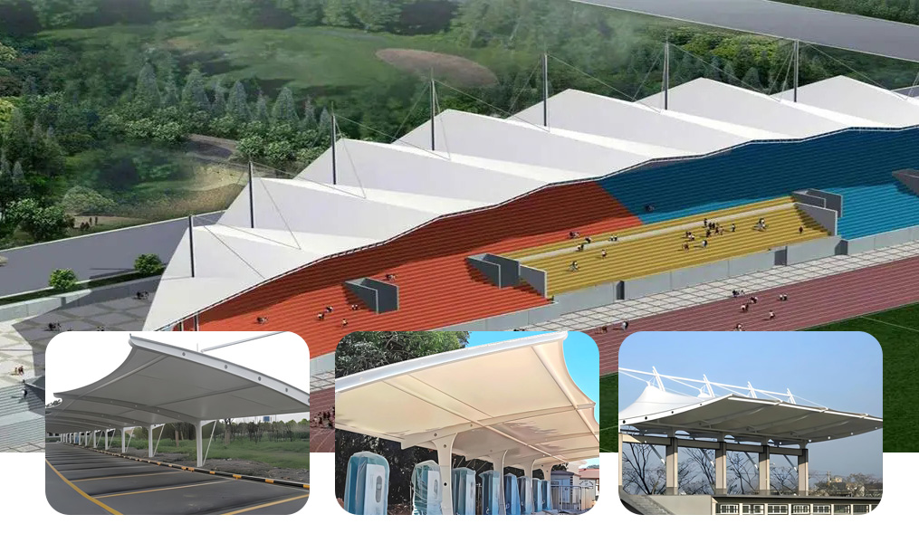 669b261d1264f.jpg 2.jpg